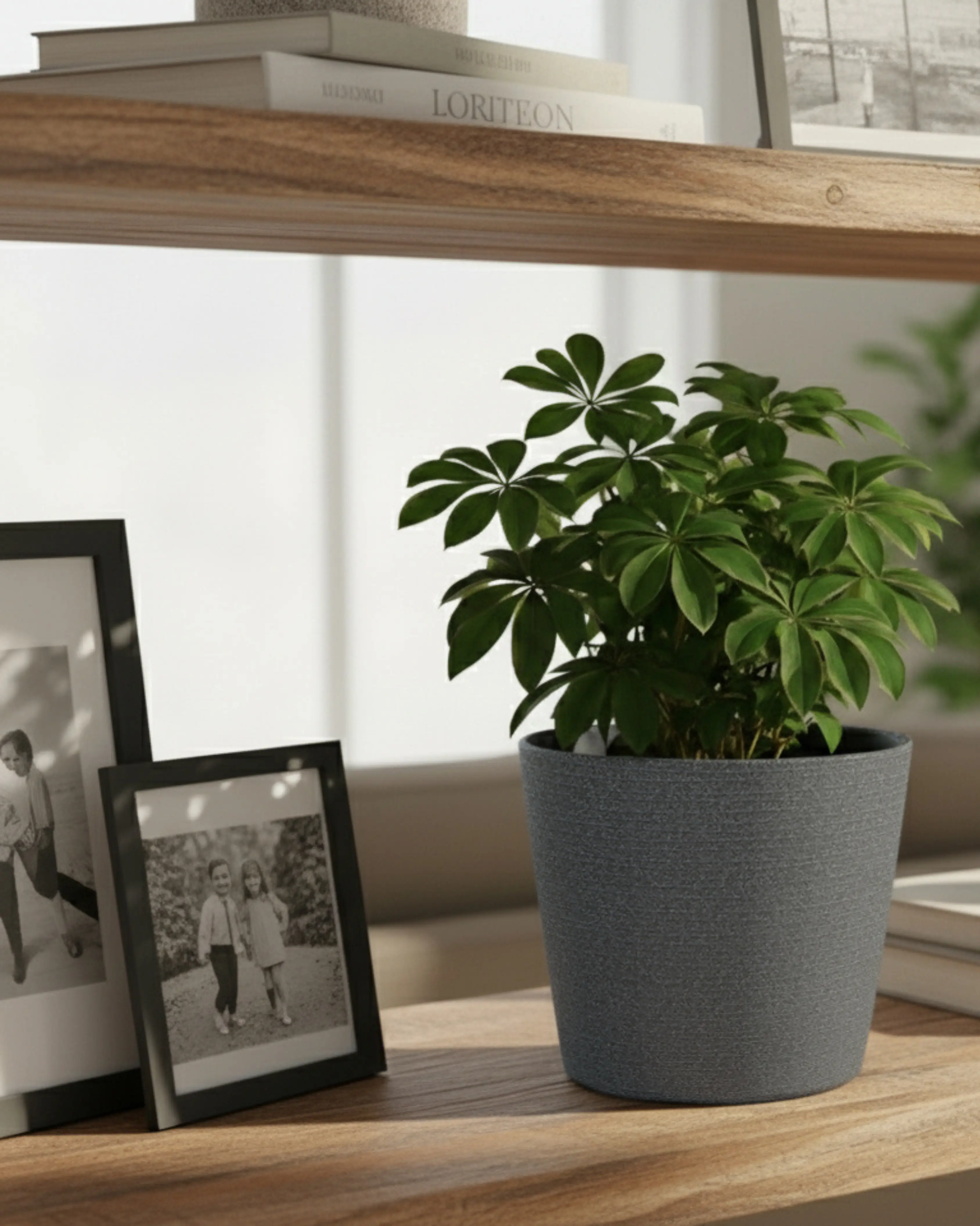 Planters For Tabletop & Ledges