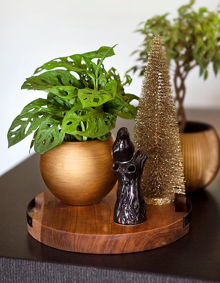 Table Top Planters